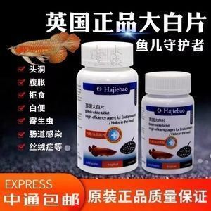 大白片的用法和用量龍魚的區別：龍魚大白片使用方法和用量 大白片的用法和用量龍魚的區別：龍魚大白片使用方法和用量 龍魚百科 第5張