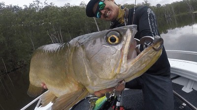 什么金龍魚好釣魚(自制金龍魚餌料秘方金龍魚釣魚成功率提升方法) 龍魚百科 第1張 什么金龍魚好釣魚(自制金龍魚餌料秘方金龍魚釣魚成功率提升方法) 什么金龍魚好釣魚(自制金龍魚餌料秘方金龍魚釣魚成功率提升方法) 龍魚百科 第1張
