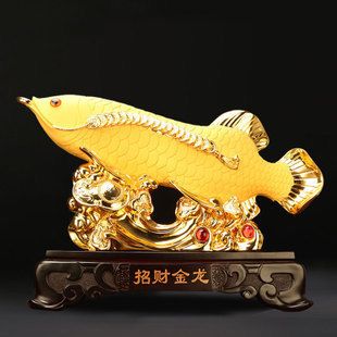 紅龍魚眼睛里有白色物體像蟲子怎么回事兒啊視頻（紅龍魚眼睛有白點）