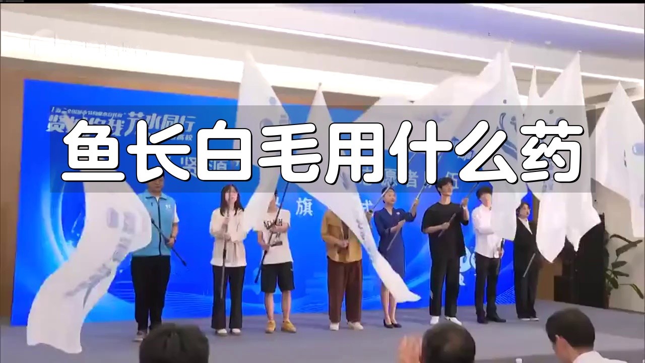 哪種藥物治療龍魚水霉病最有效？