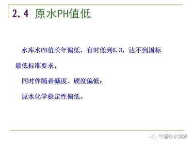 龍魚該怎么養：龍魚要怎么養才好，全面指南與實用技巧