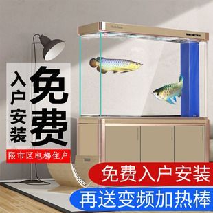 龍魚一直把頭放在缸底(為什么龍魚把頭放在缸底?) 龍魚百科 第5張 龍魚一直把頭放在缸底(為什么龍魚把頭放在缸底?) 龍魚一直把頭放在缸底(為什么龍魚把頭放在缸底?) 龍魚百科 第5張