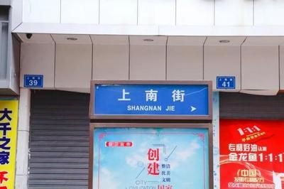 金龍魚成長(zhǎng)記錄：金龍魚的成長(zhǎng)記錄