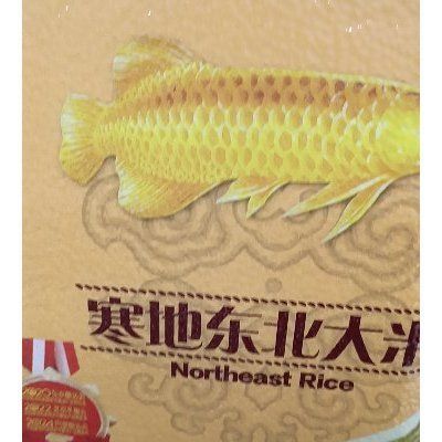 金龍魚張大嘴怎么回事:金龍魚張大嘴可能是由于多種原因引起的 龍魚百科 第1張 金龍魚張大嘴怎么回事:金龍魚張大嘴可能是由于多種原因引起的 金龍魚張大嘴怎么回事:金龍魚張大嘴可能是由于多種原因引起的 龍魚百科 第1張