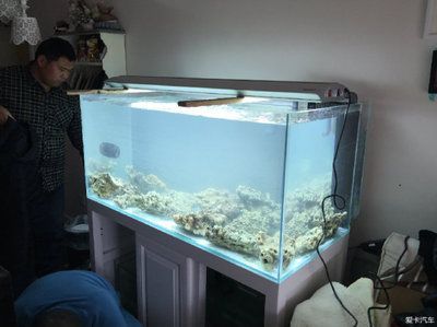 龍魚缸養海水魚：龍魚缸養海水魚的養海水魚的注意事項養海水魚的注意事項
