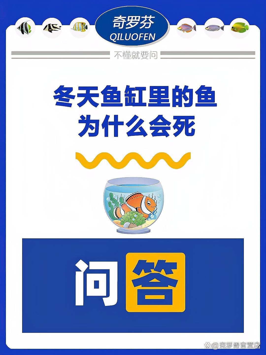 龍魚冬天不保溫會死嗎為什么