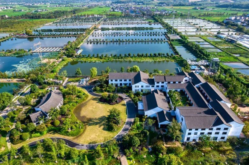 龍游龍和漁業園餐廳