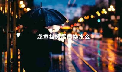 知識點 龍魚體型大比拼