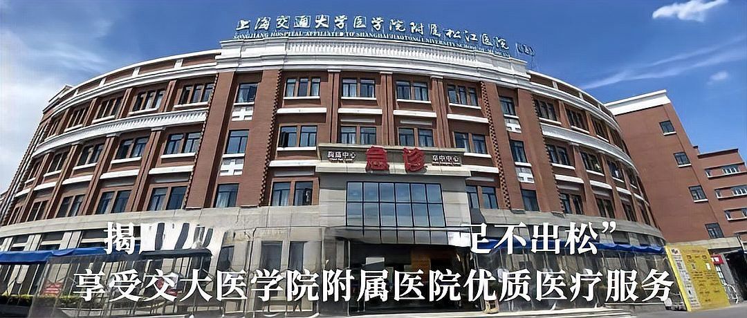 紅龍與藍龍在現代文創中的應用