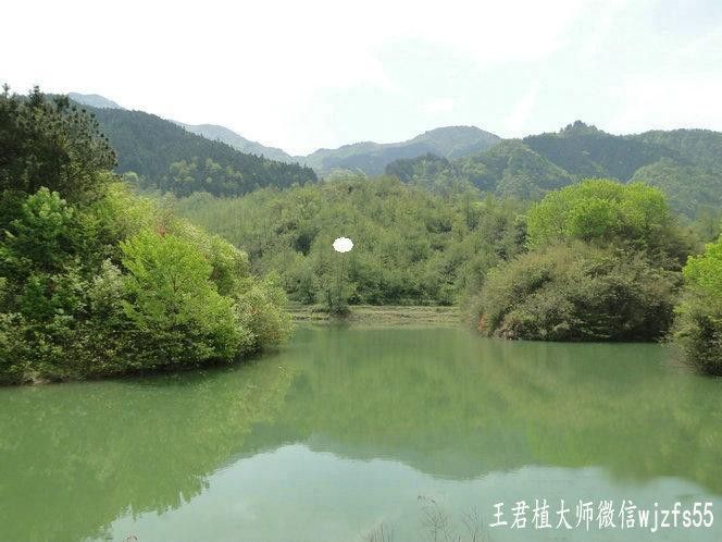 龍形地風水案例分享