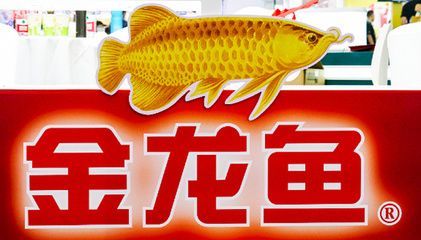 金龍魚加盟店怎么樣：金龍魚加盟店市場表現及加盟優勢、品牌影響力影響力提升