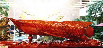 金龍魚加盟店怎么樣：金龍魚加盟店市場表現及加盟優勢、品牌影響力影響力提升