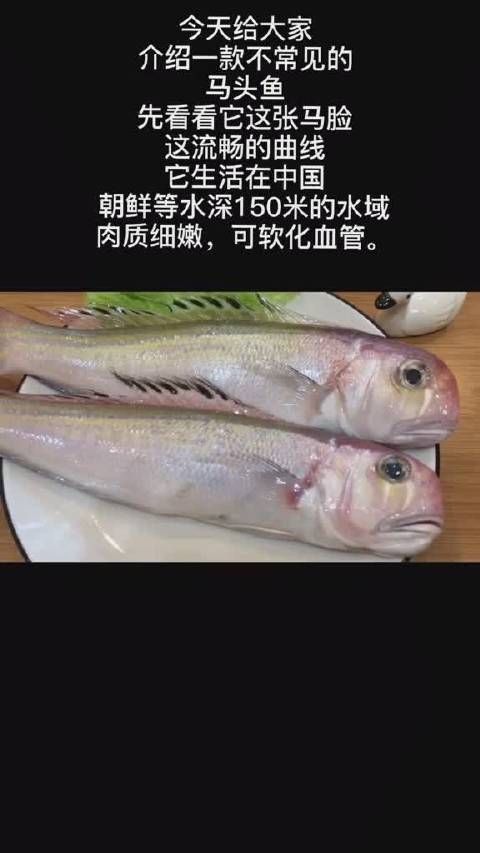 馬頭魚是海魚還是淡水魚