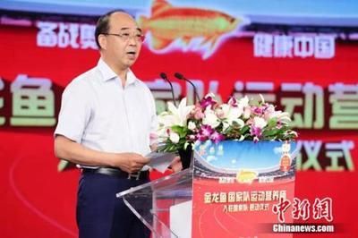 cctv6金龍魚（cctv6與金龍魚之間的合作歷史）