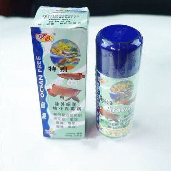 龍魚霉菌感染特效藥是什么（龍魚感染水霉病怎么辦）