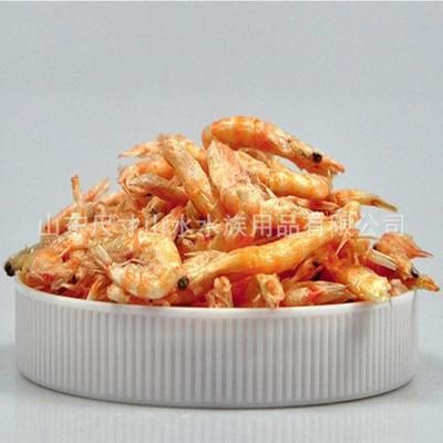 龍魚一直吃面蟲和干蝦可以嗎（長期單一喂食面包蟲和干蝦可以嗎，龍魚可以吃面包蟲和干蝦嗎）