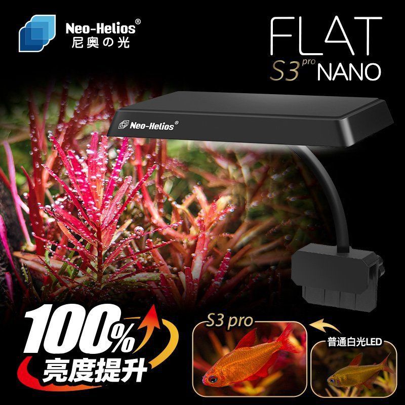 羅漢魚最怕三個燈光 羅漢魚最怕三個燈光 龍魚百科 第6張