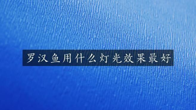 羅漢魚最怕三個燈光 羅漢魚最怕三個燈光 龍魚百科 第3張