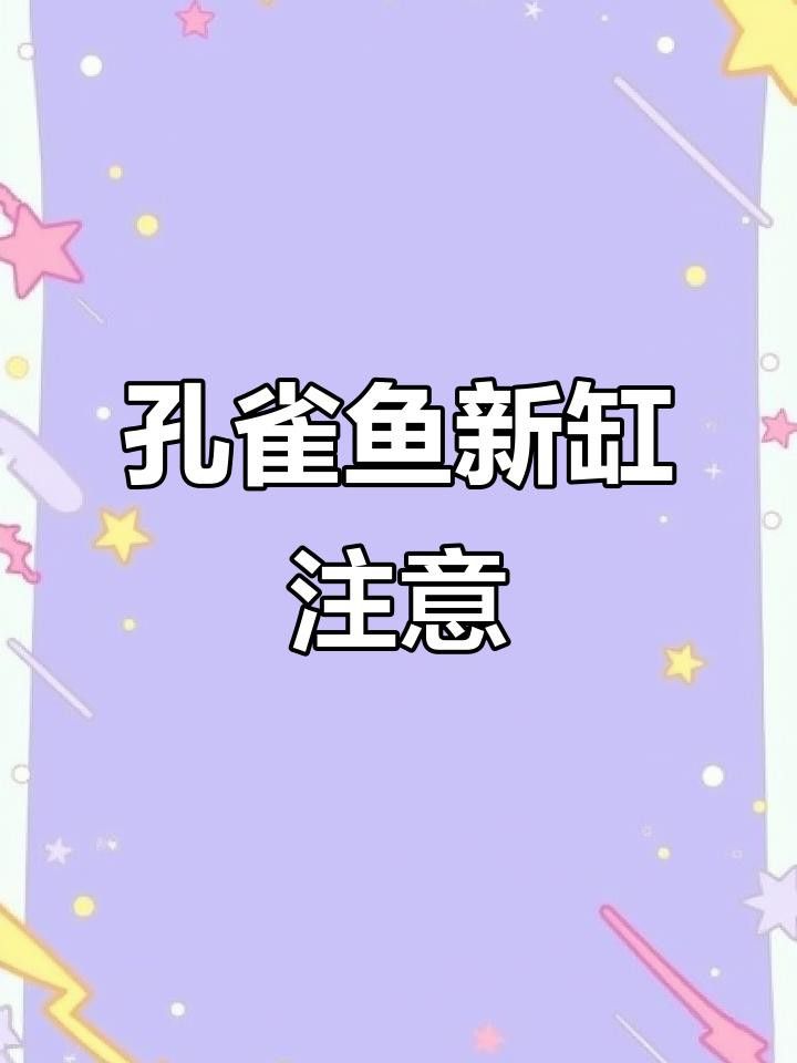 換缸后多久可以喂食？