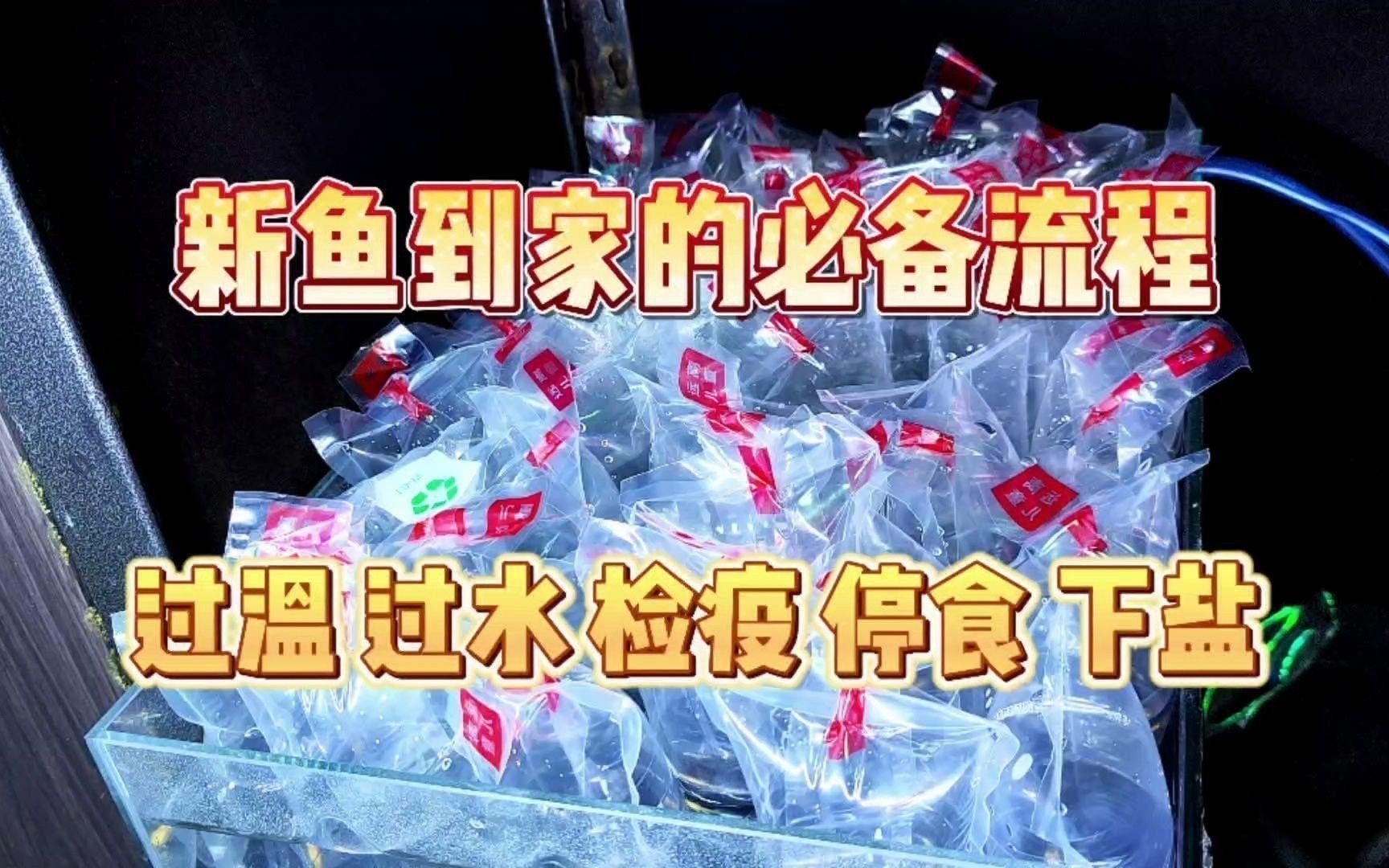 換缸后多久可以喂食？