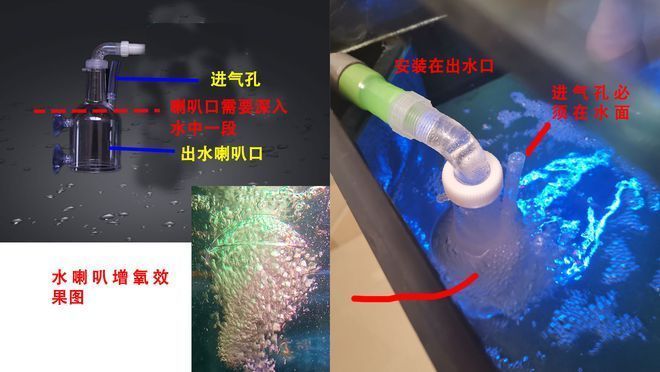 北京紅龍魚婚禮宴會中心地址查詢電話號碼（紅龍魚婚慶服務(wù)項目） 北京紅龍魚婚禮宴會中心地址查詢電話號碼（紅龍魚婚慶服務(wù)項目） 龍魚百科