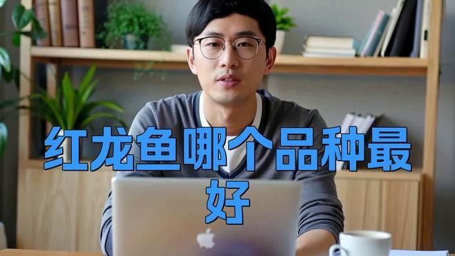龍魚紅龍最好的品種是什么圖片大全