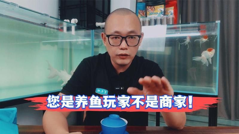 六角龍魚能和其他魚混養(yǎng)嗎？ 六角龍魚能和其他魚混養(yǎng)嗎？ 龍魚百科 第12張