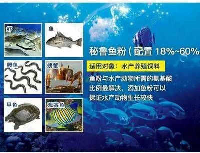 最便宜的紅龍魚價格：最便宜的紅龍魚品種是什么？