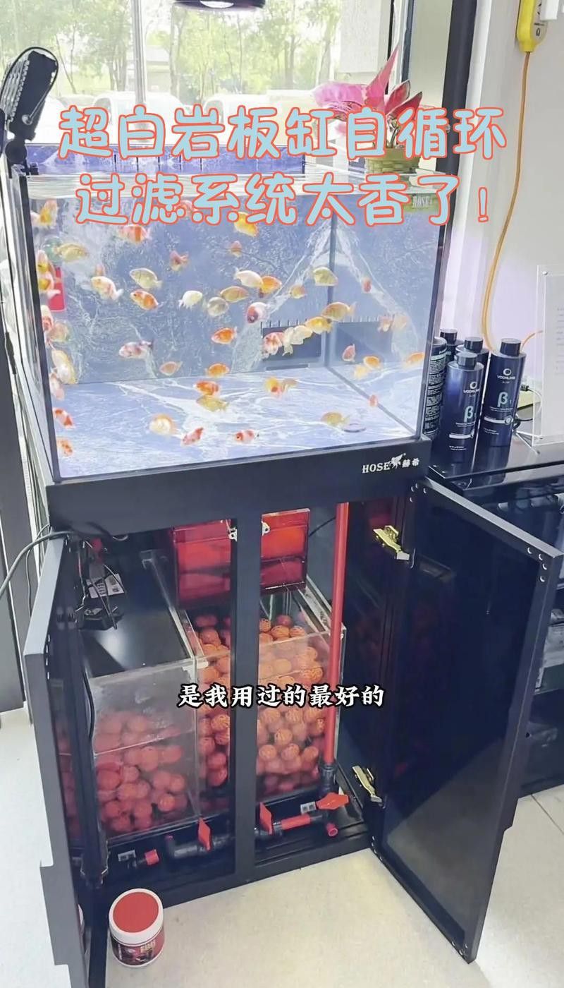 歐波龍魚缸好不好用