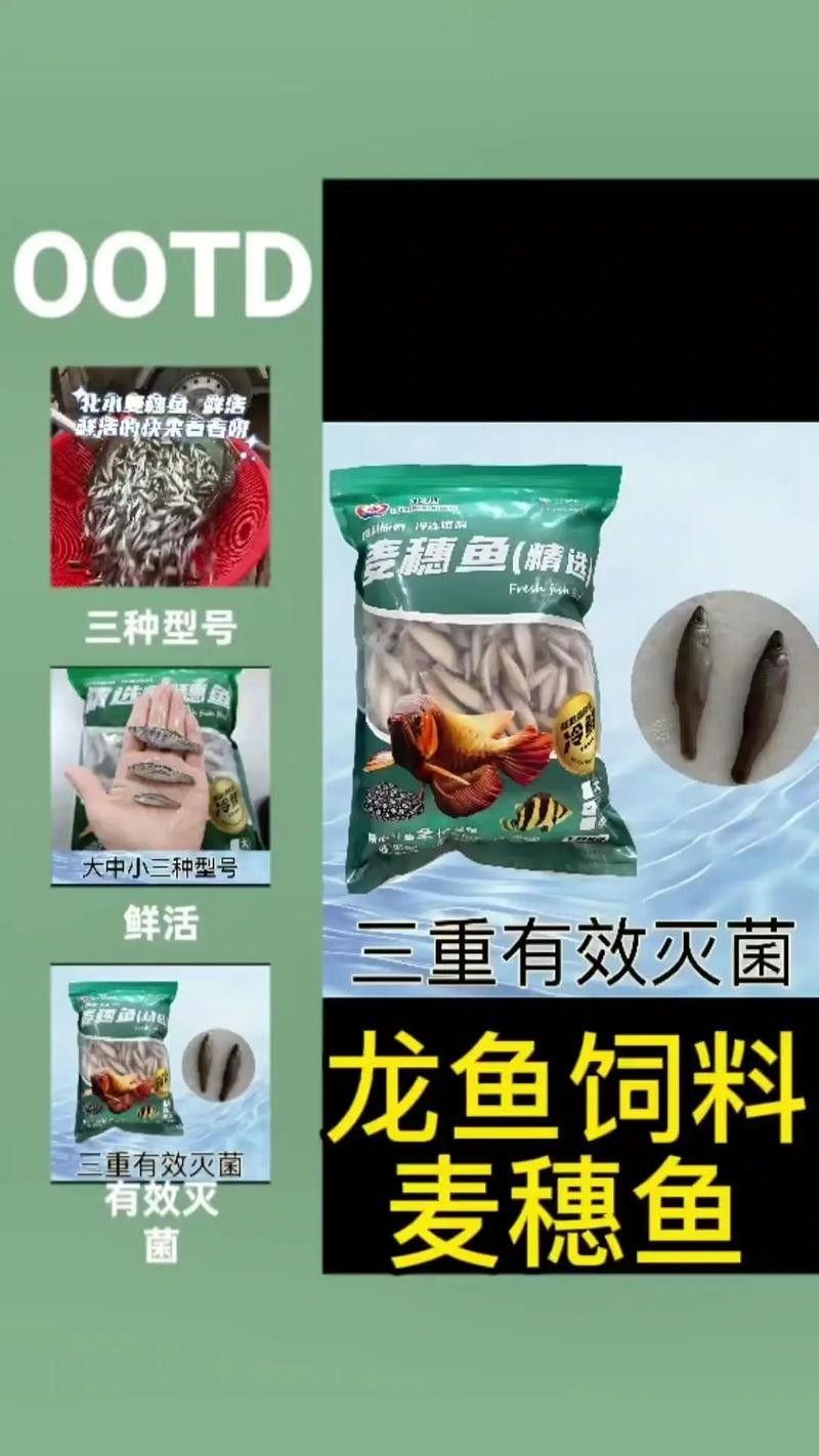 龍魚主要吃什么餌料