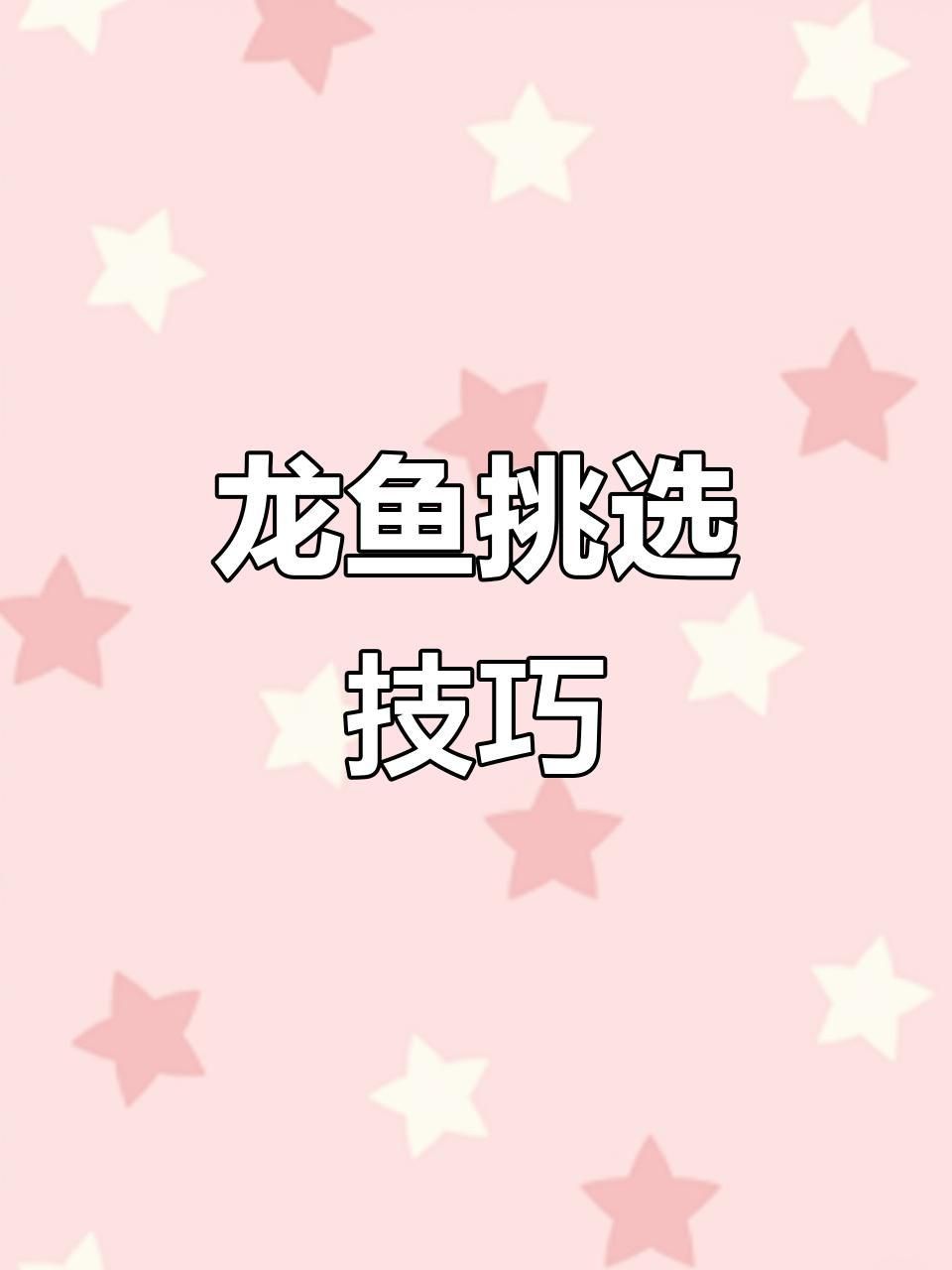 如何鑒別龍魚的品質？