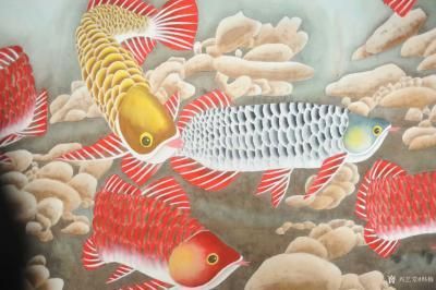 金龍魚豎著游怎么回事：金龍魚豎著游是什么梗