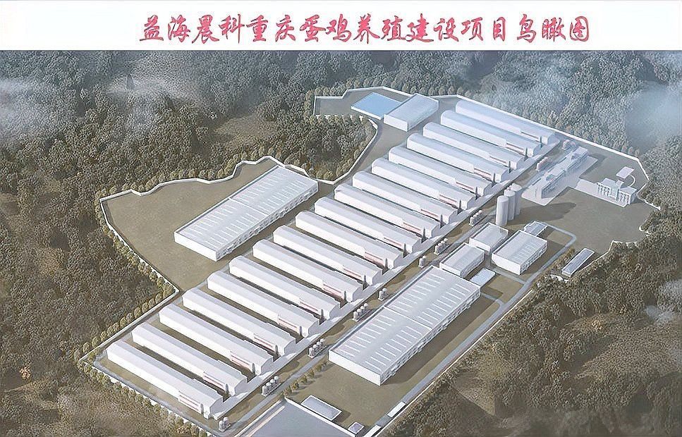 廣東金龍魚養(yǎng)殖場在哪里建 廣東金龍魚養(yǎng)殖場在哪里建 龍魚百科 第4張