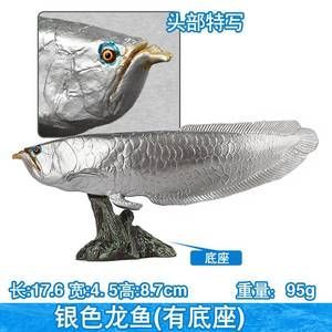 紅龍魚缸的最佳水位圖（養龍魚的水位高度多少合適）