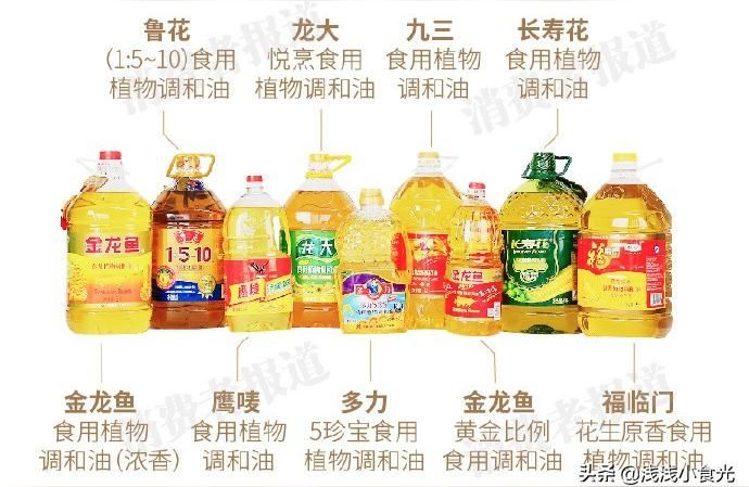 金龍魚4l黃金比例 金龍魚4l黃金比例 龍魚百科