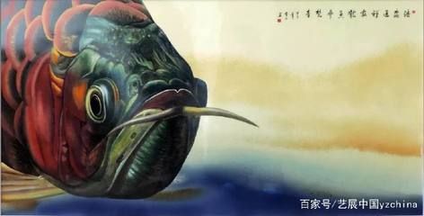 龍魚繪畫作品，藍健康龍魚作品賞析