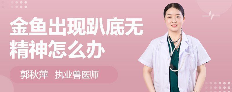 金魚趴缸底會自愈嗎？