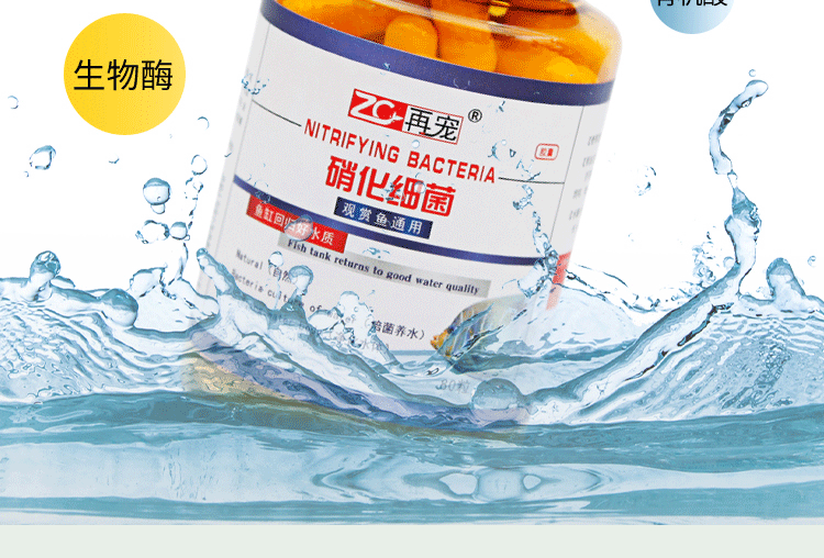 龍魚能用水質穩定劑和硝化細菌（龍魚可以使用水質穩定劑嗎？）