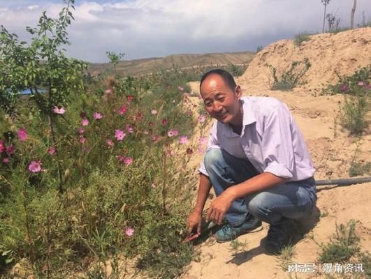 龍魚老孫被同行質疑