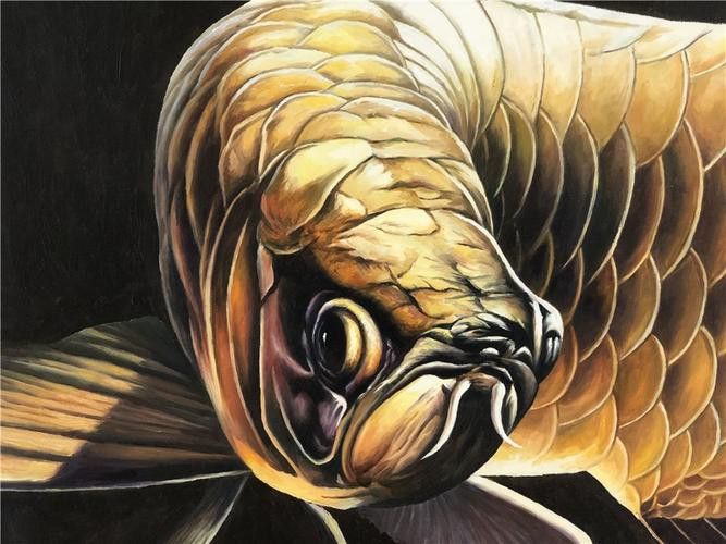 金色龍魚壁紙高清圖片