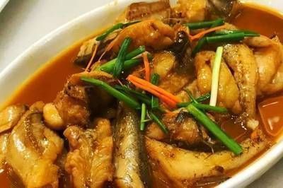 什么牌子龍魚飼料好（龍魚飼料品牌排名不分先后龍魚飼料價格區間查詢） 什么牌子龍魚飼料好（龍魚飼料品牌排名不分先后龍魚飼料價格區間查詢） 龍魚百科 第1張