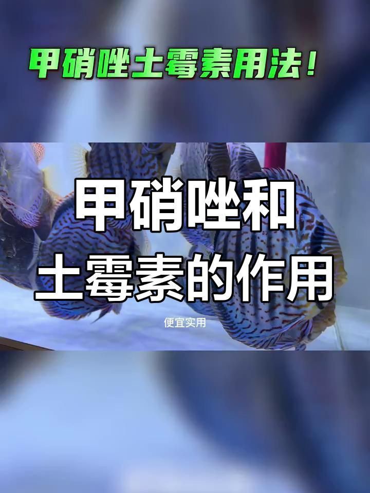 哪些魚類適合使用甲硝唑治療？