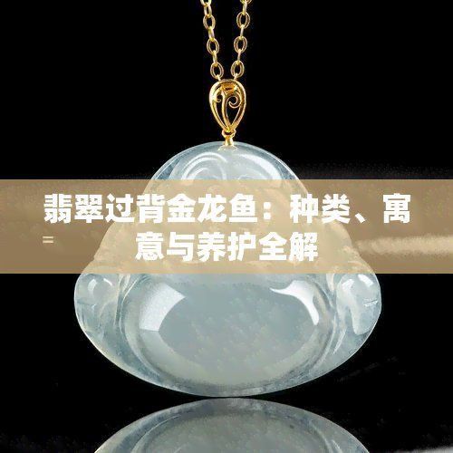 過(guò)背金龍的風(fēng)水寓意