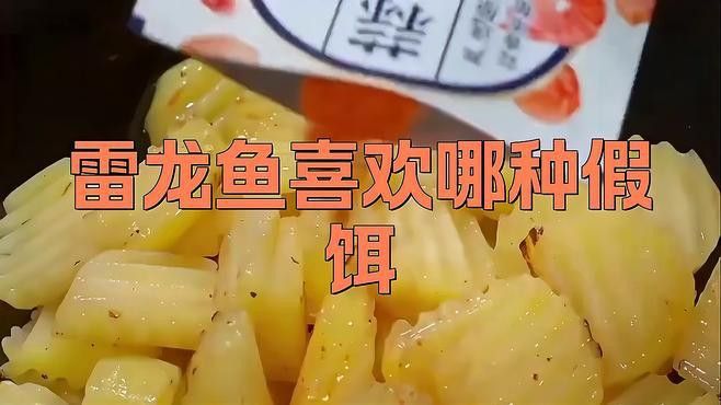 如何選擇合適的雷龍魚擬餌？
