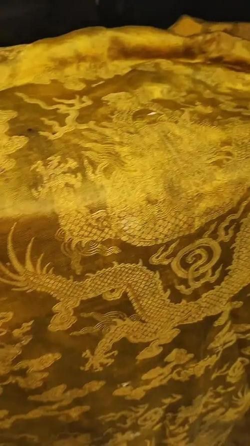 給我高清版金龍文物圖片 龍魚百科 第16張 給我高清版金龍文物圖片 給我高清版金龍文物圖片 龍魚百科 第16張