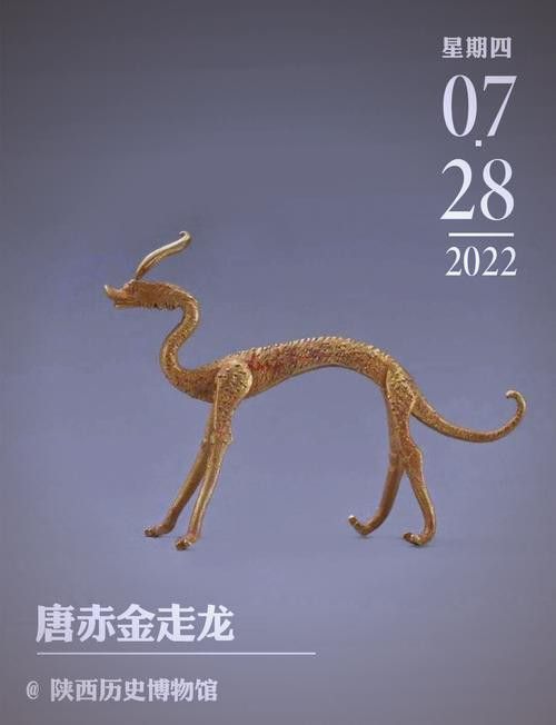 給我高清版金龍文物圖片 龍魚百科 第33張 給我高清版金龍文物圖片 給我高清版金龍文物圖片 龍魚百科 第33張