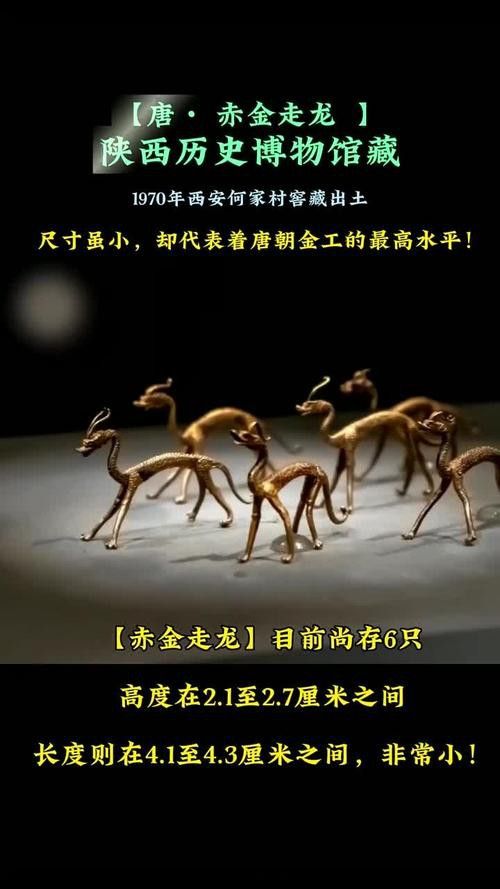 給我高清版金龍文物圖片 龍魚百科 第38張 給我高清版金龍文物圖片 給我高清版金龍文物圖片 龍魚百科 第38張