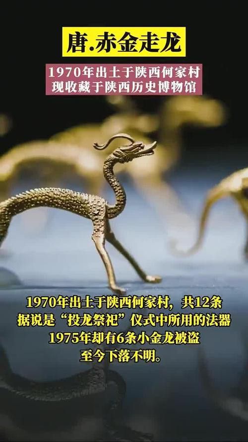 給我高清版金龍文物圖片 龍魚百科 第43張 給我高清版金龍文物圖片 給我高清版金龍文物圖片 龍魚百科 第43張