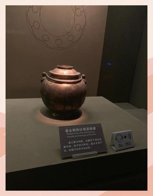 給我高清版金龍文物圖片 龍魚百科 第42張 給我高清版金龍文物圖片 給我高清版金龍文物圖片 龍魚百科 第42張