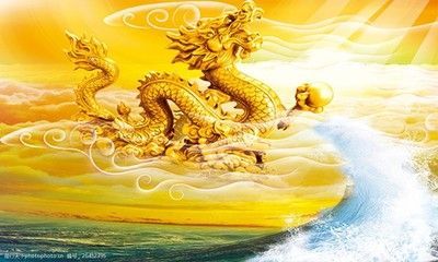 金龍：廈門金龍聯合汽車工業有限公司 金龍：廈門金龍聯合汽車工業有限公司 龍魚百科 第3張
